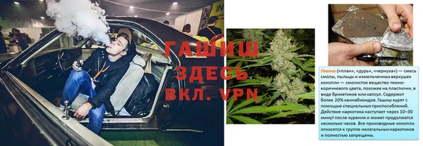 прущие грибы Лиски