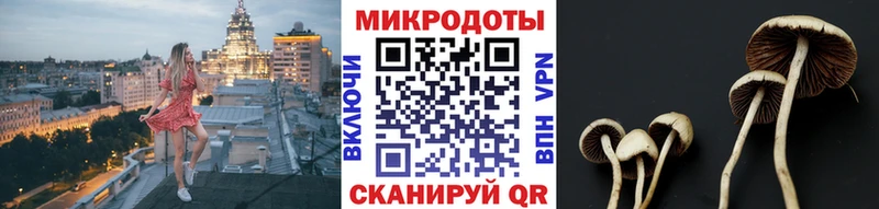 мега зеркало  Томск  Псилоцибиновые грибы Psilocybe 
