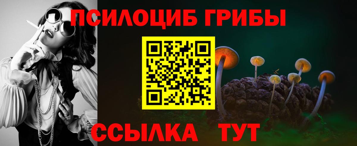 Томск  где купить наркоту  Вход с VPN  Псилоцибиновые грибы GOLDEN TEACHER 